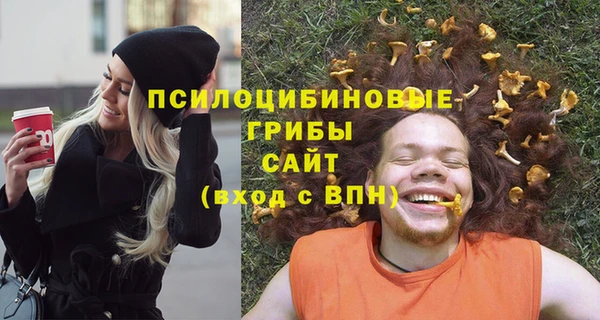spice Надым