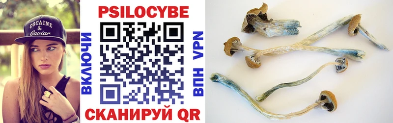 Купить где  Сланцы  Псилоцибиновые грибы MAGIC MUSHROOMS 