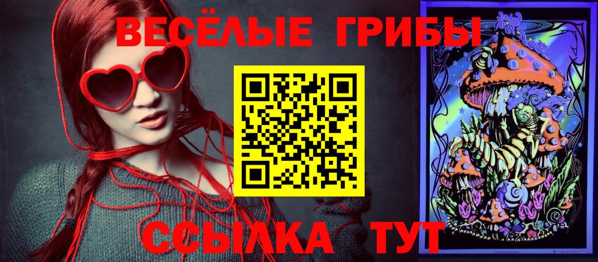 Наркошоп  Мефедрон кристаллы  ГАШИШ  Сланцы  Бошки Шишки  КОКАИН  МЕФ  Вход с VPN 