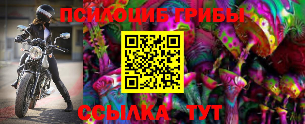 Псилоцибиновые грибы ЛСД  Вход с VPN  Псилоцибиновые грибы Magic Shrooms  Сланцы 