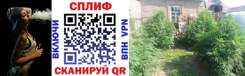 Купить  Сланцы  Каннабис OG Kush 